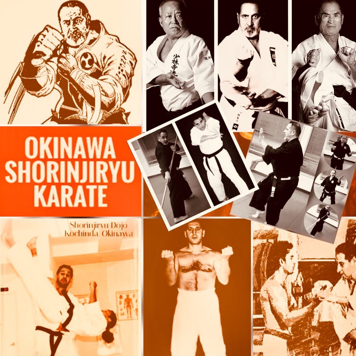 Ryūkyū Martial Arts Society - International