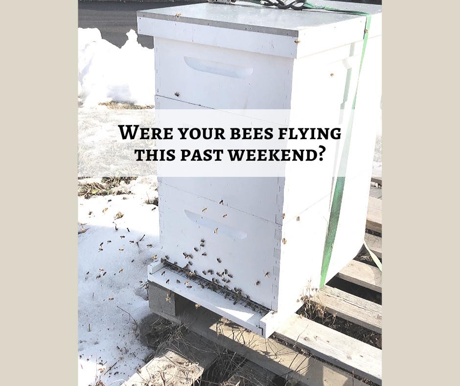 Almost 70 degrees in the... - New England Beekeeping Supplies