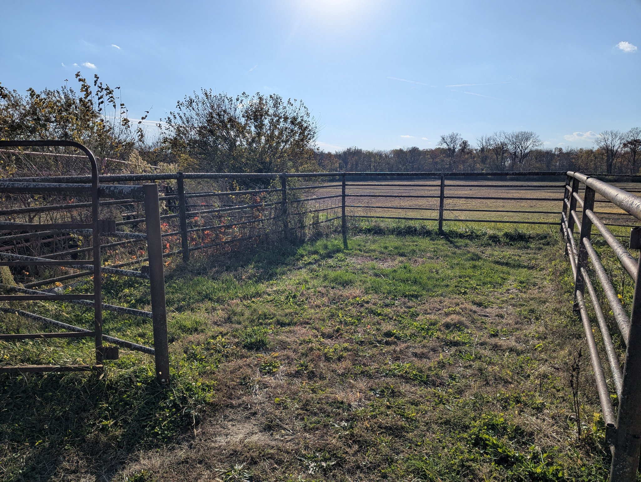 Barn, Tackroom & Trailer Design, DIY & Hacks | Looking for ideas to ...
