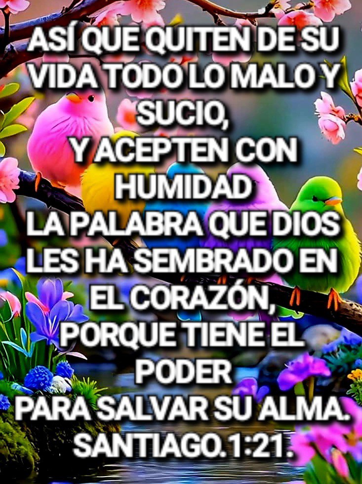 REINA VALERA 1960 - LA BIBLIA EN FACEBOOK | Descubriendo el viaje de ...