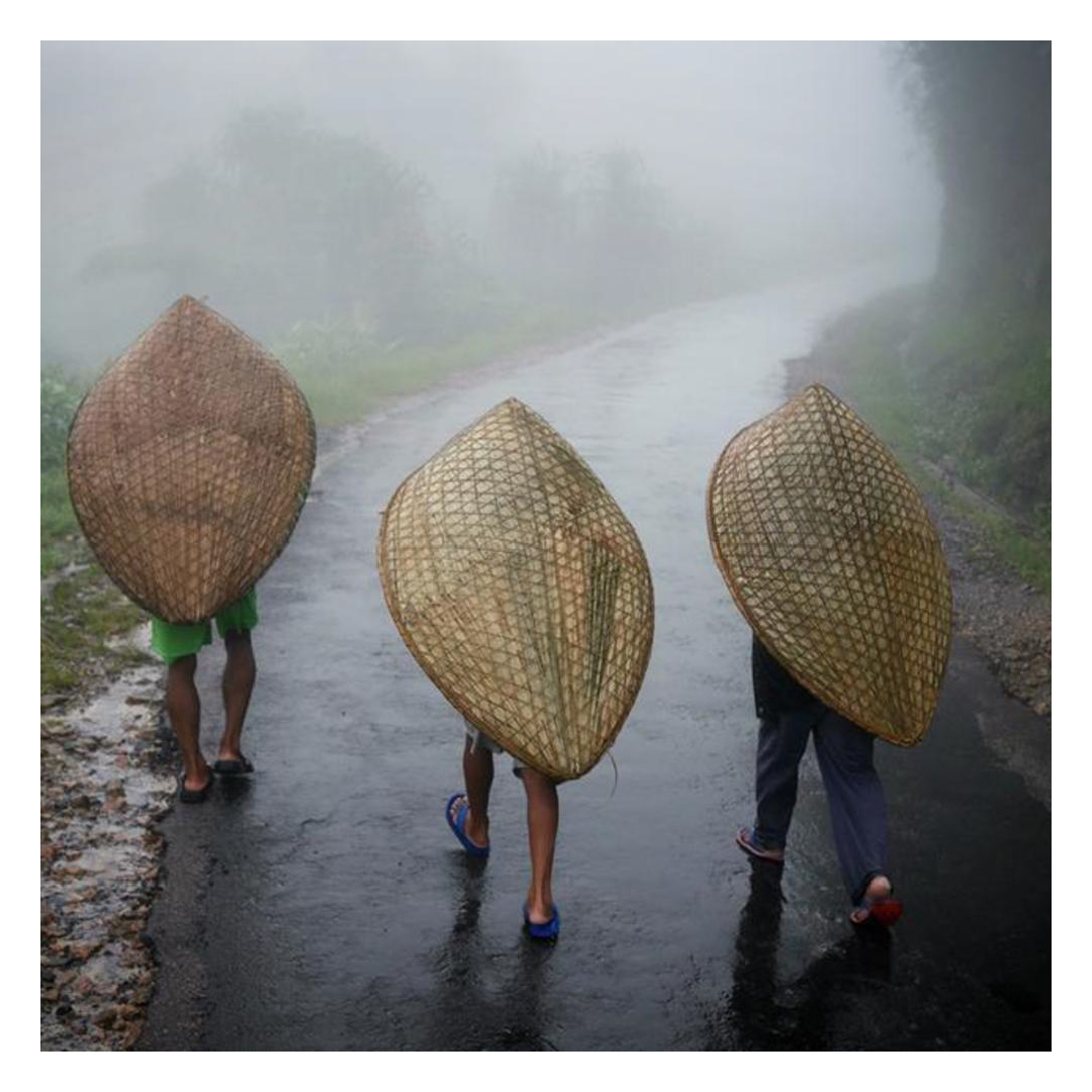 What’s left after a good rain? The... - The House Of Angadi