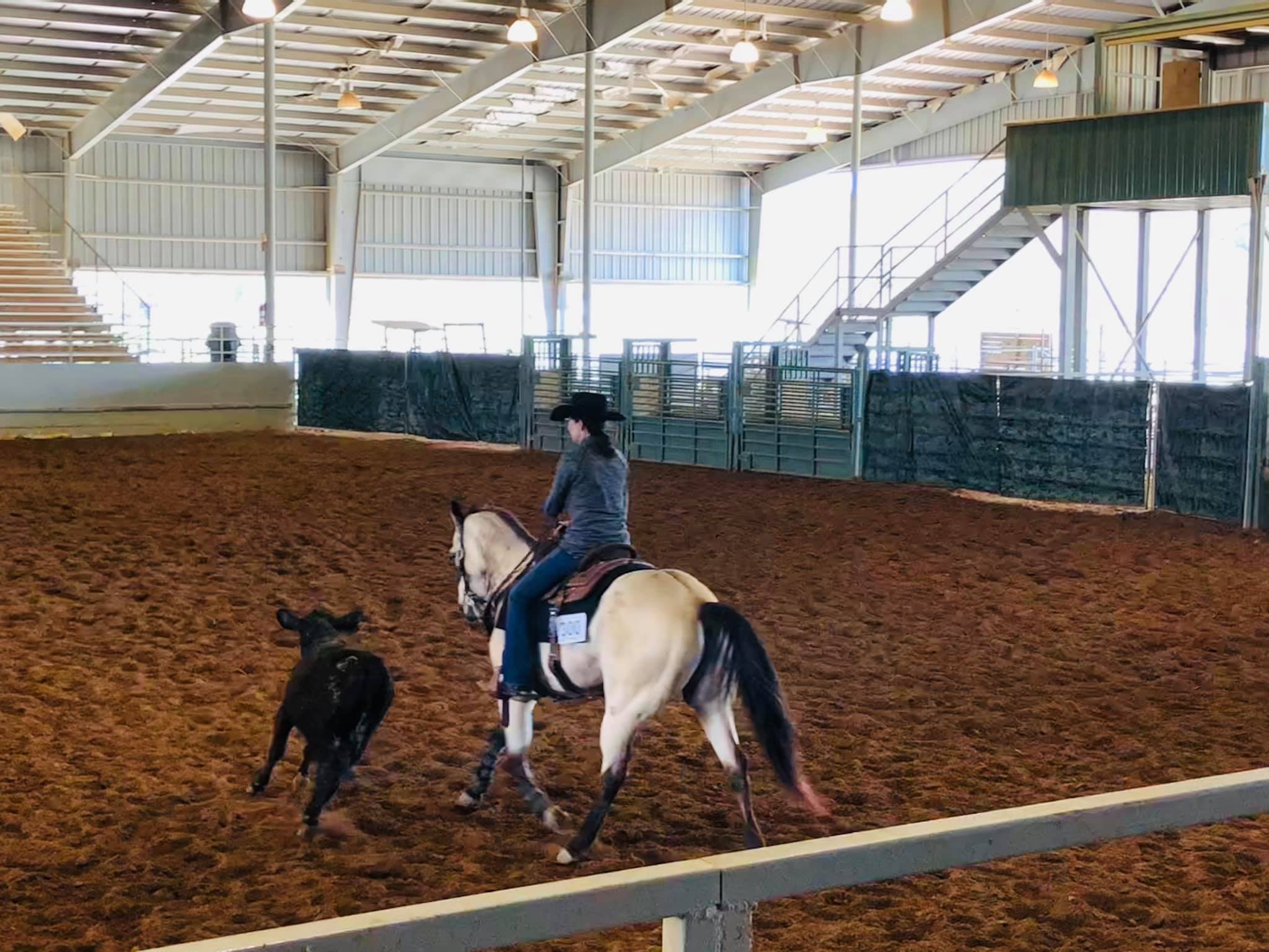 Escambia County Equestrian Center - Jeremy Knoles Reined Cow Horse ...