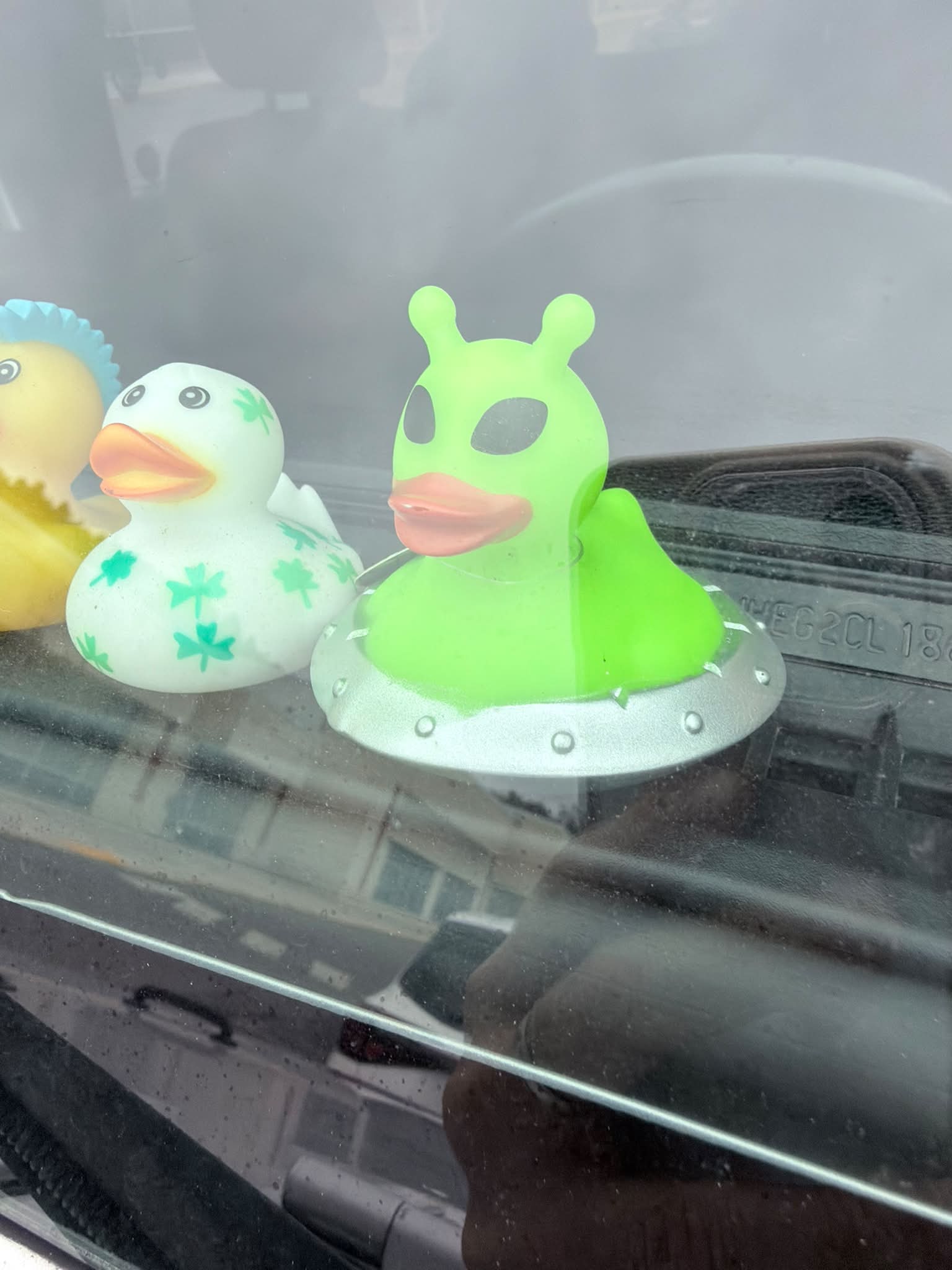 Glow-in-the-dark rubber duck collection