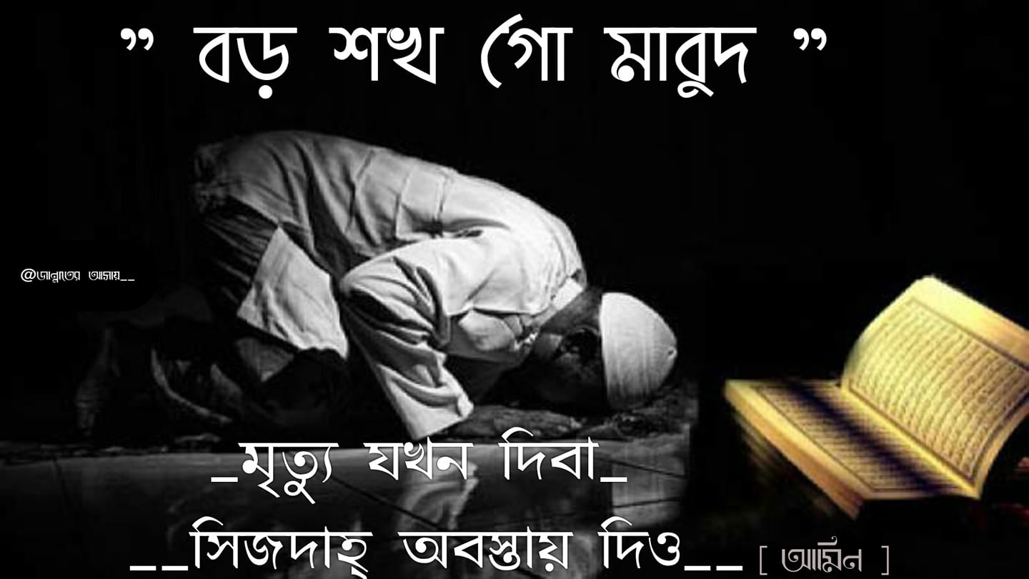 MD Sohan