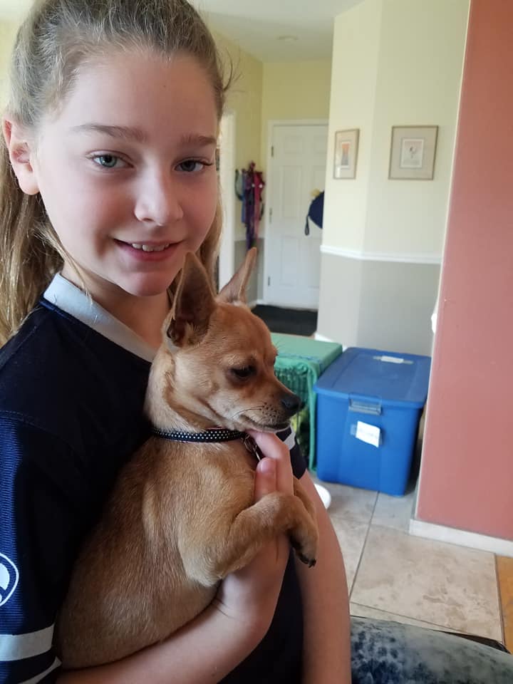 Smidget Rescue - Smidget Rescue added a new photo to the... | Facebook