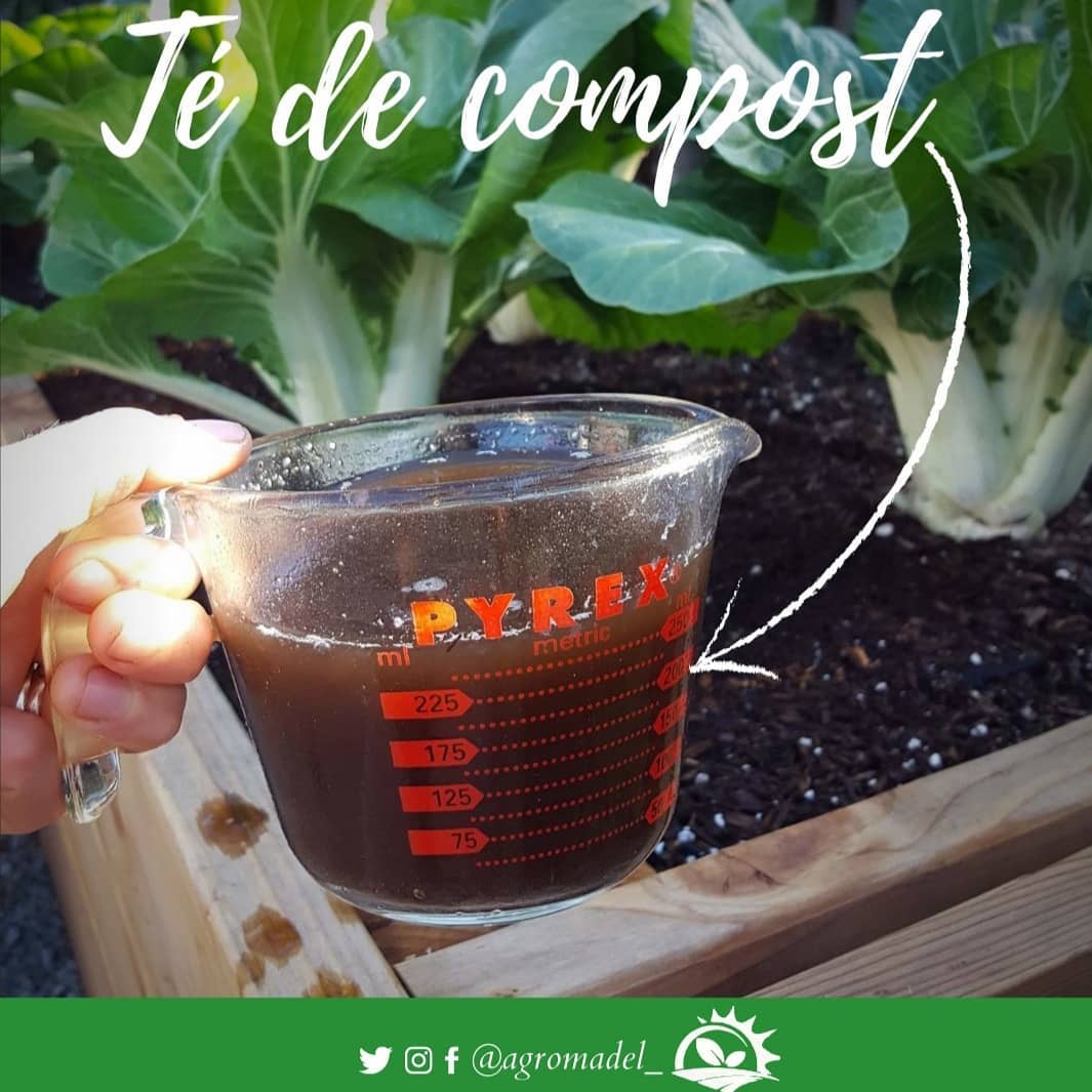 agromadel_ - 🟤 TÉ DE COMPOST . Es un fertilizante orgánico ...