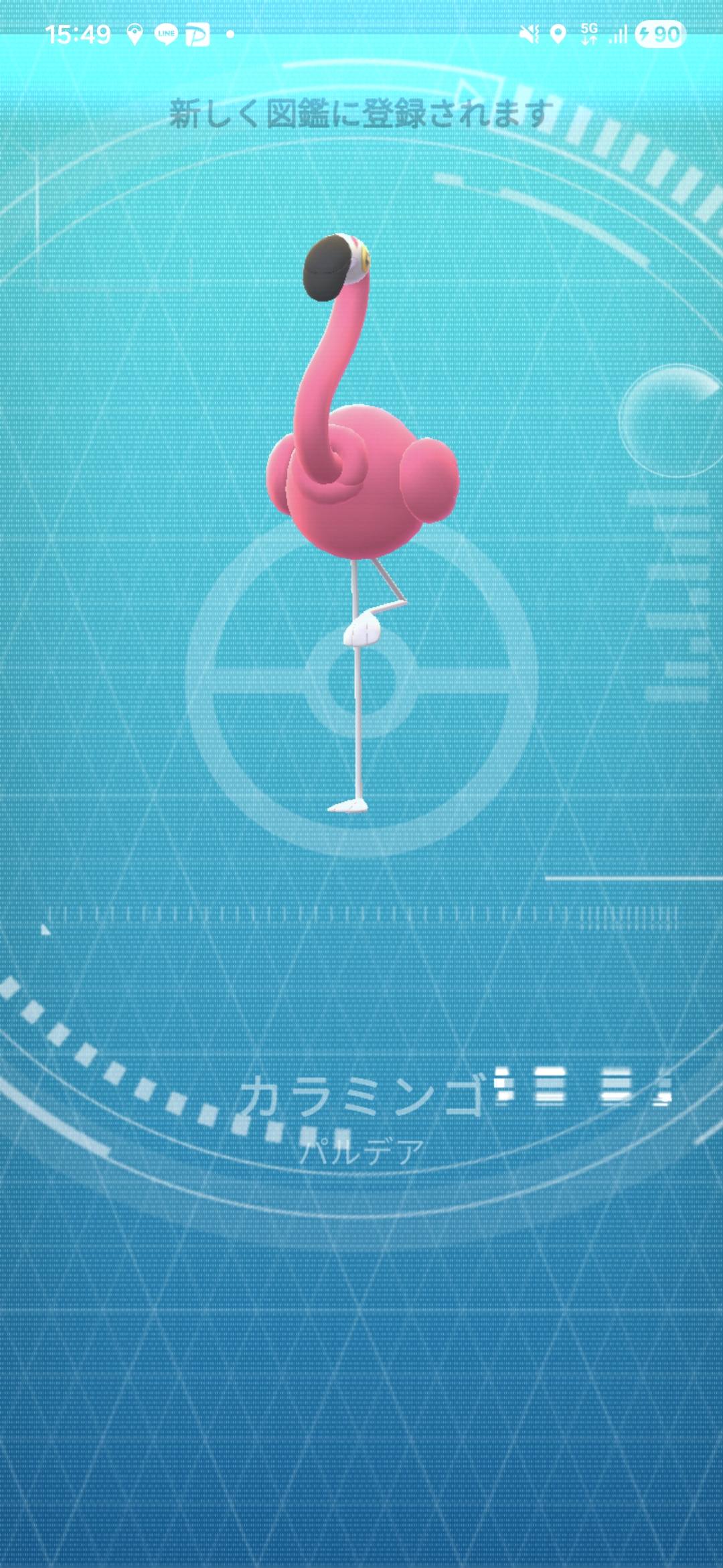 フラミンゴですな🦩🤣そのまんま🤣