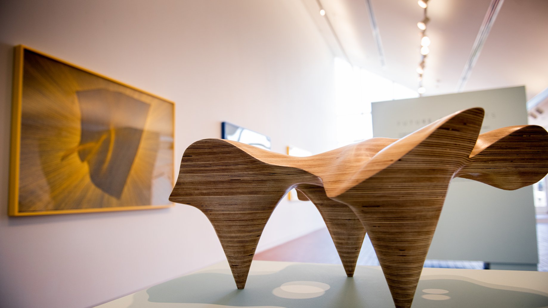 Projective Eye Gallery | Charlotte NC