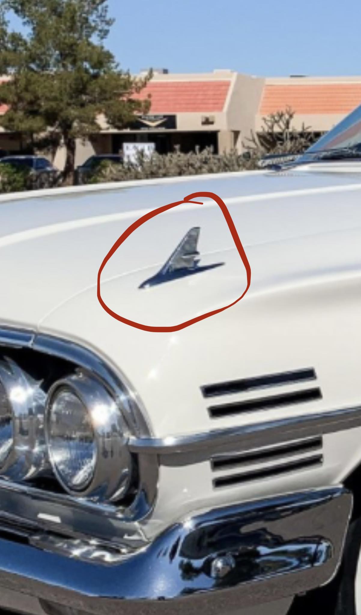 Can anyone tell me something about that fender ornaments on the 60 