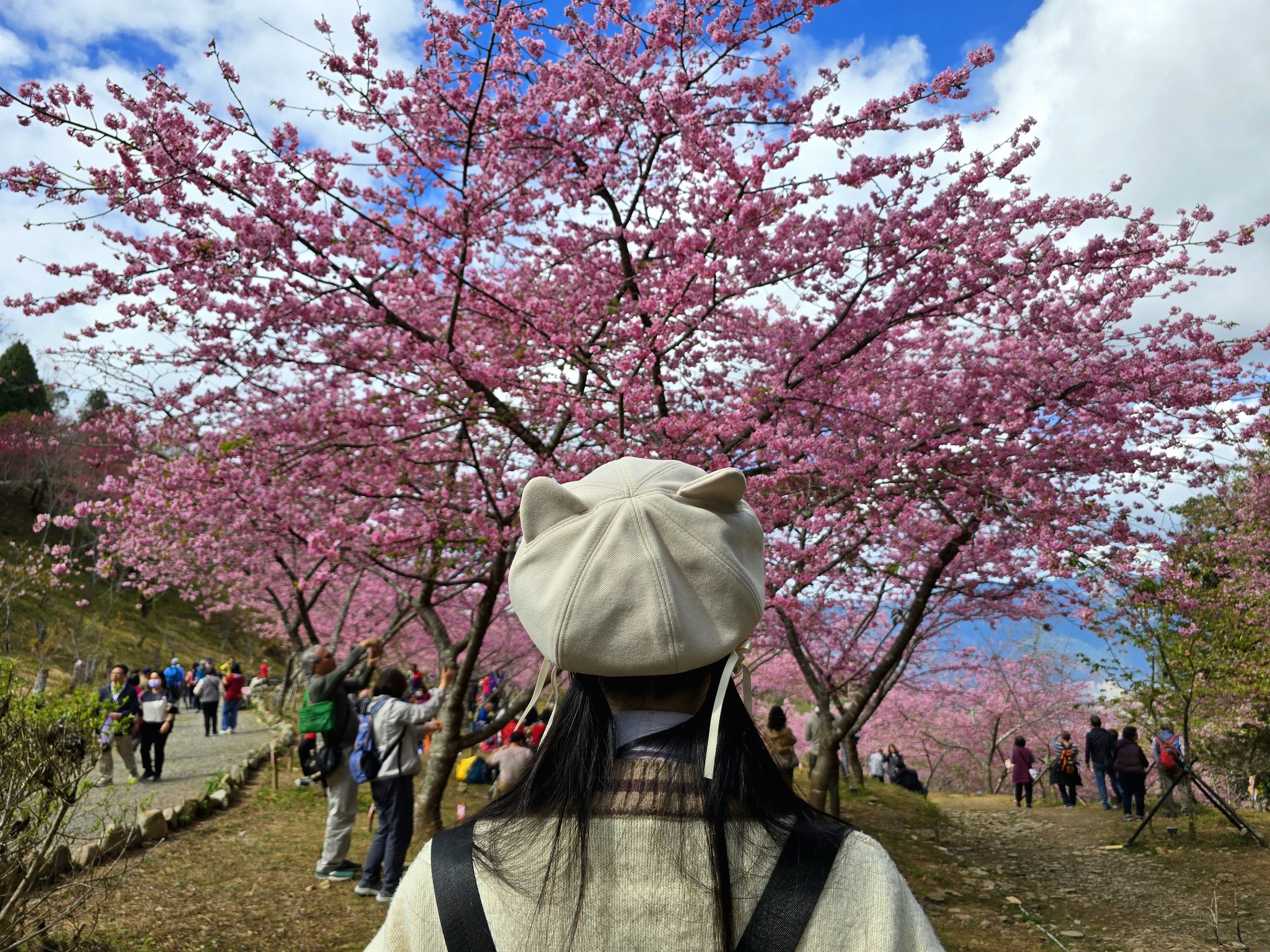 黃塏諺
