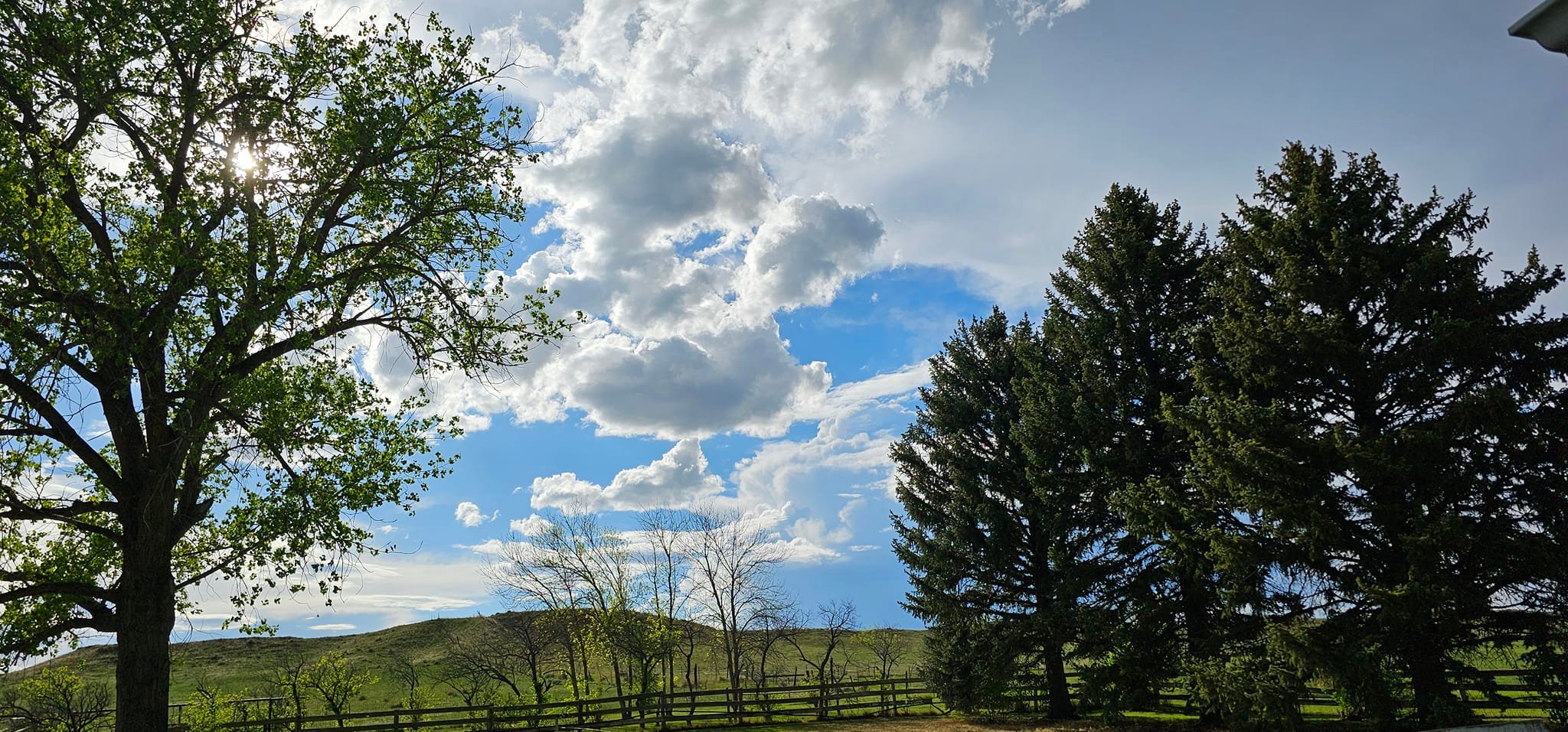 The Stepping Stone Ranch