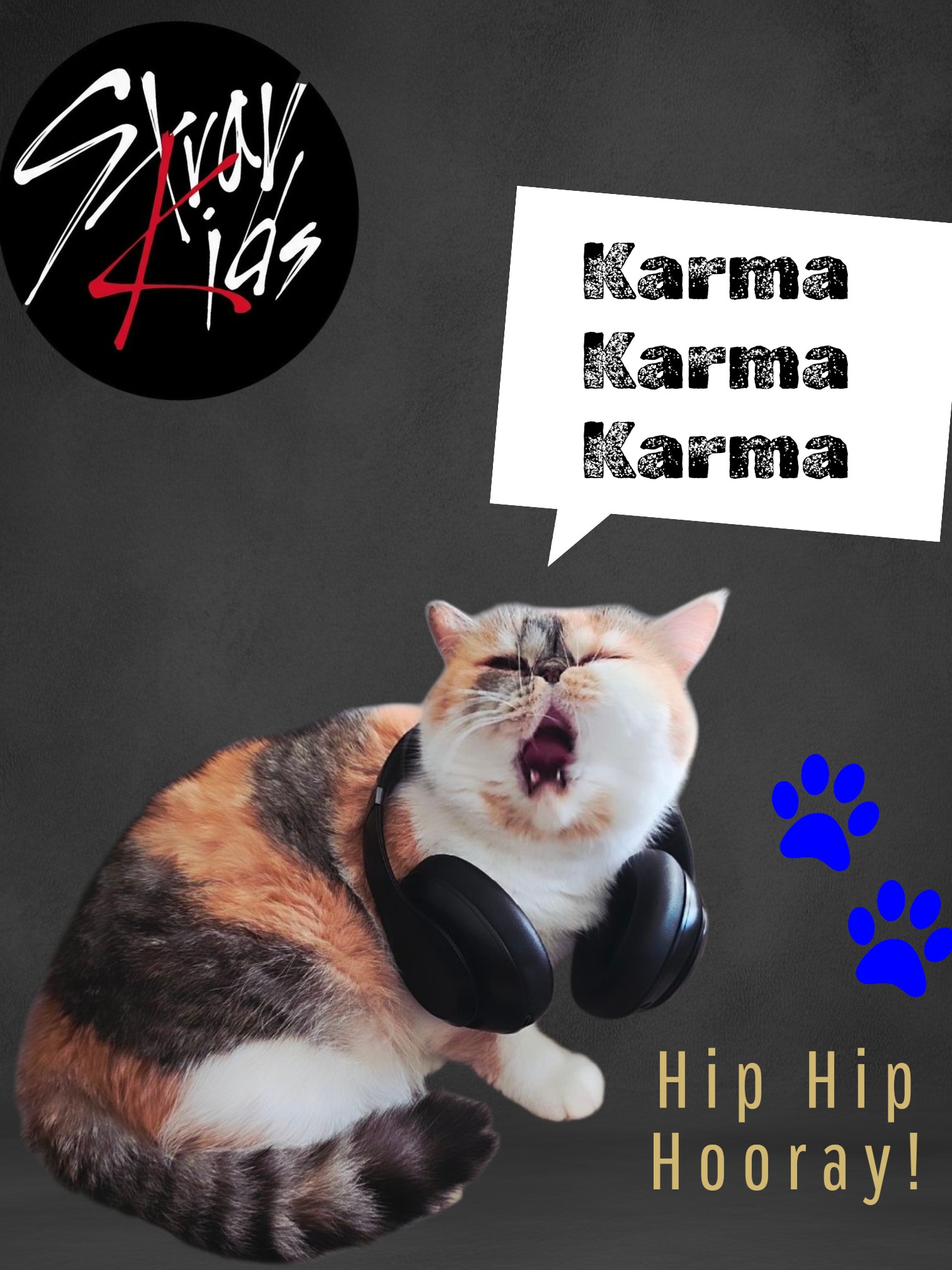 StrayKids as a cats 🐈 😻 #StrayKids #stay