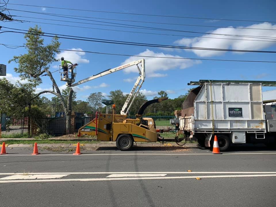 SafeWay Tree Service | Brisbane QLD