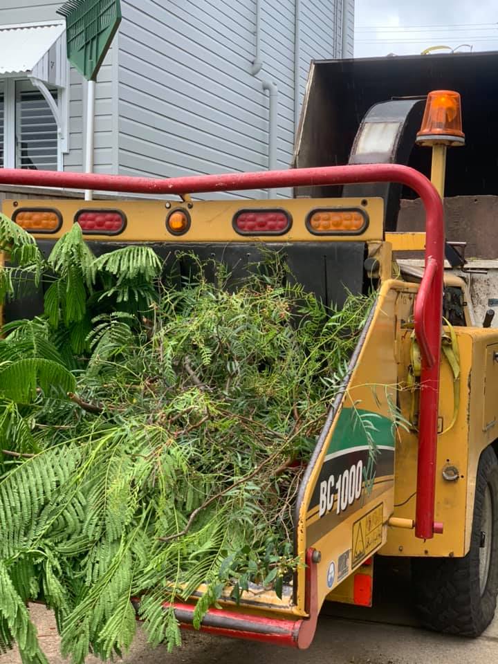 SafeWay Tree Service | Brisbane QLD