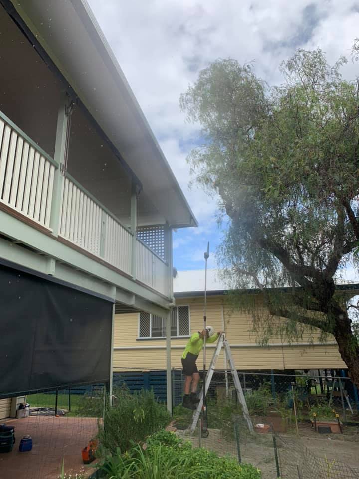 SafeWay Tree Service | Brisbane QLD