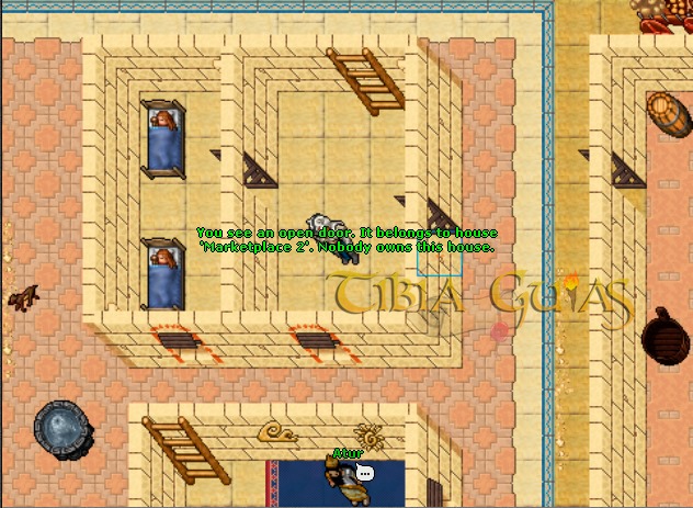 Tibia Guias