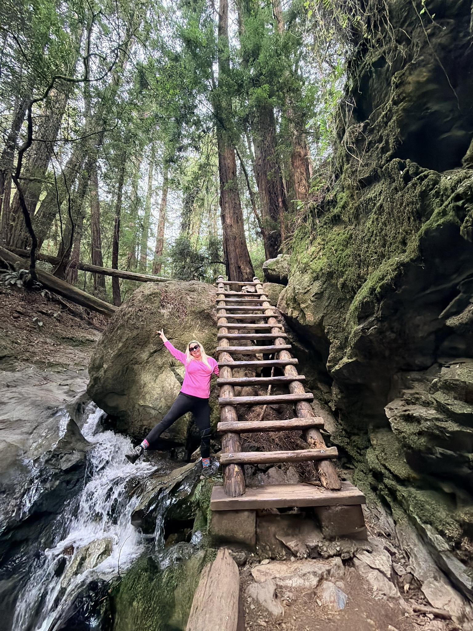 The Iconic Steep Ravine Ladder | Facebook
