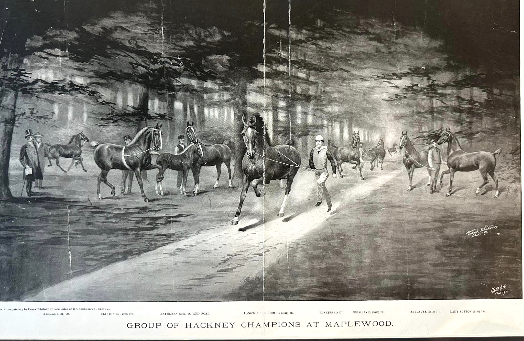 Hackneys only | Here's a great old Hackney painting -- from 1896 ...