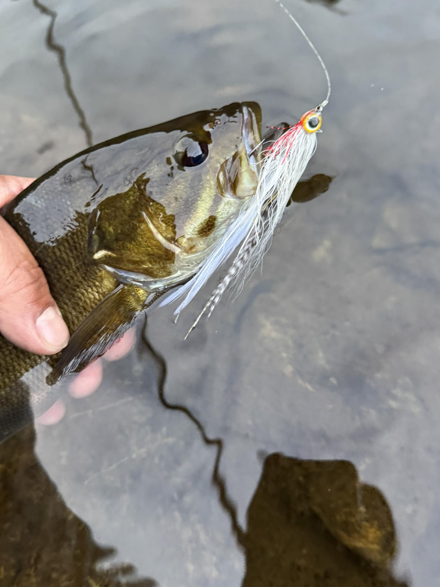 edge tackle box Plano 3700 Flex Stowaway PLASE377 – Ripping It Outdoors Model:CMB-601SF2000 A top opening makes portable case Baseball Coach Backpacks for
