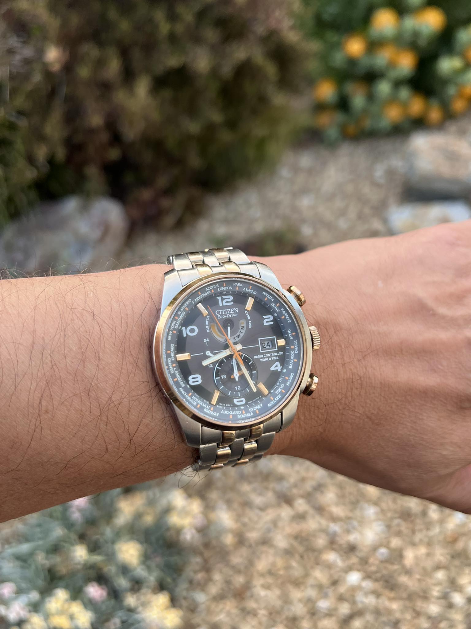 Citizen Eco-Drive World Time A-T men