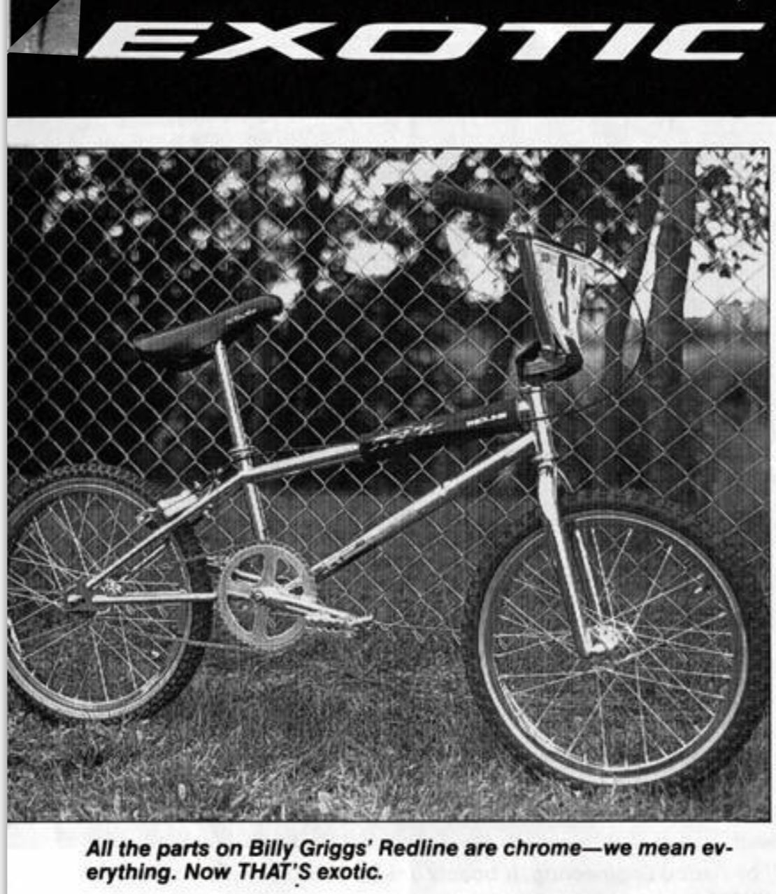 Billy Griggs' bike v/s my bike. EXOTIC All the parts on Billy