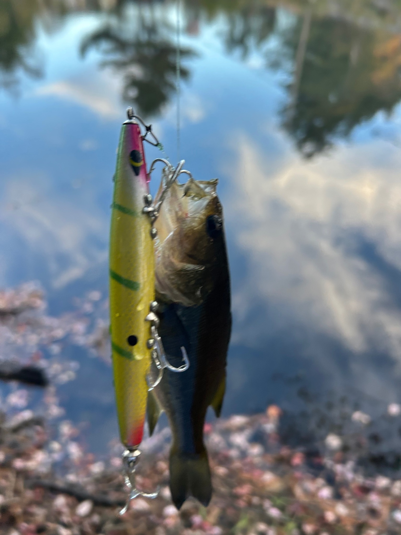 third hand fishing rod holder O'Pros 3rd you can always adjust Berkley Big Game Power Strength:100lb/45.4kg 0.55mm best budget fish finder