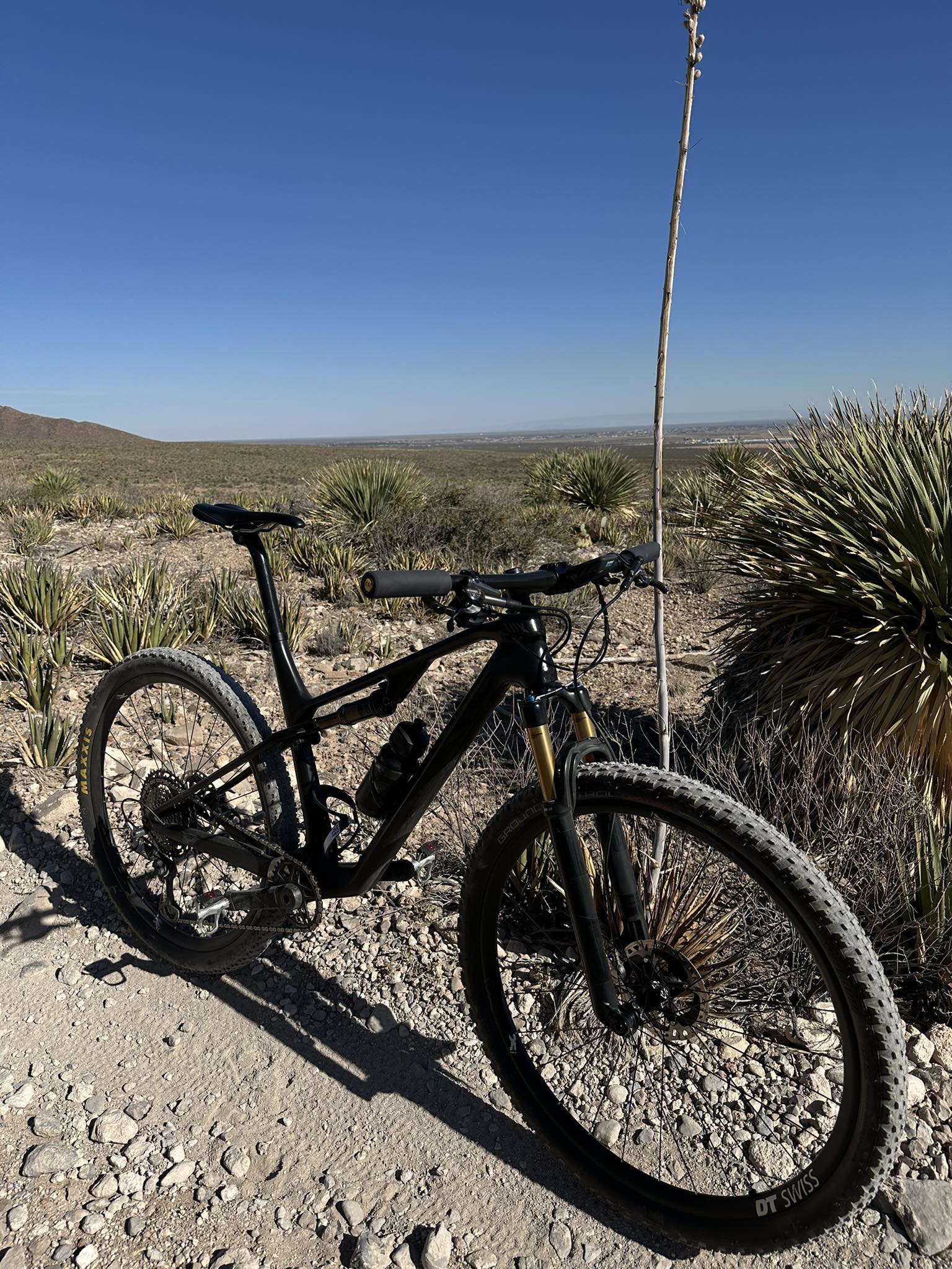 Introducing myself as Canyon CF SLX 9.0 owner. Model 2019. Great 