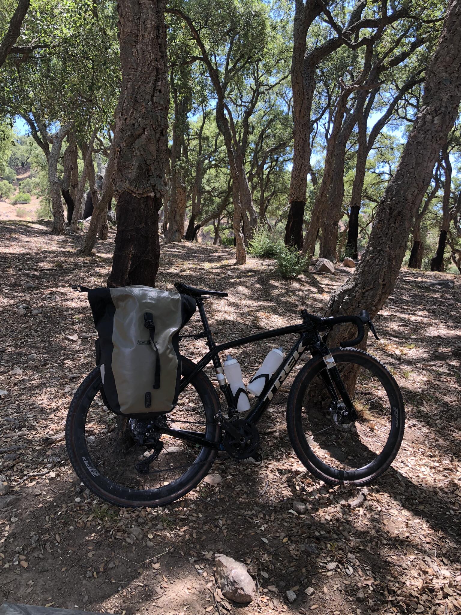 TREK CHECKPOINT OWNERS | Hello everybody, does somebody have 650b ...