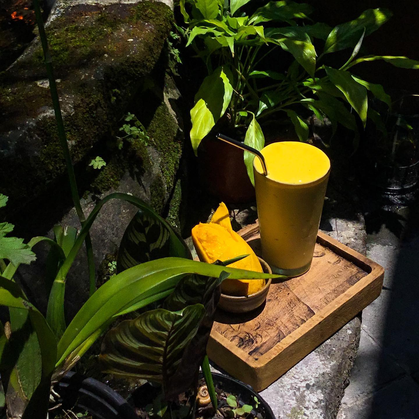 Jasón, Café | Xalapa