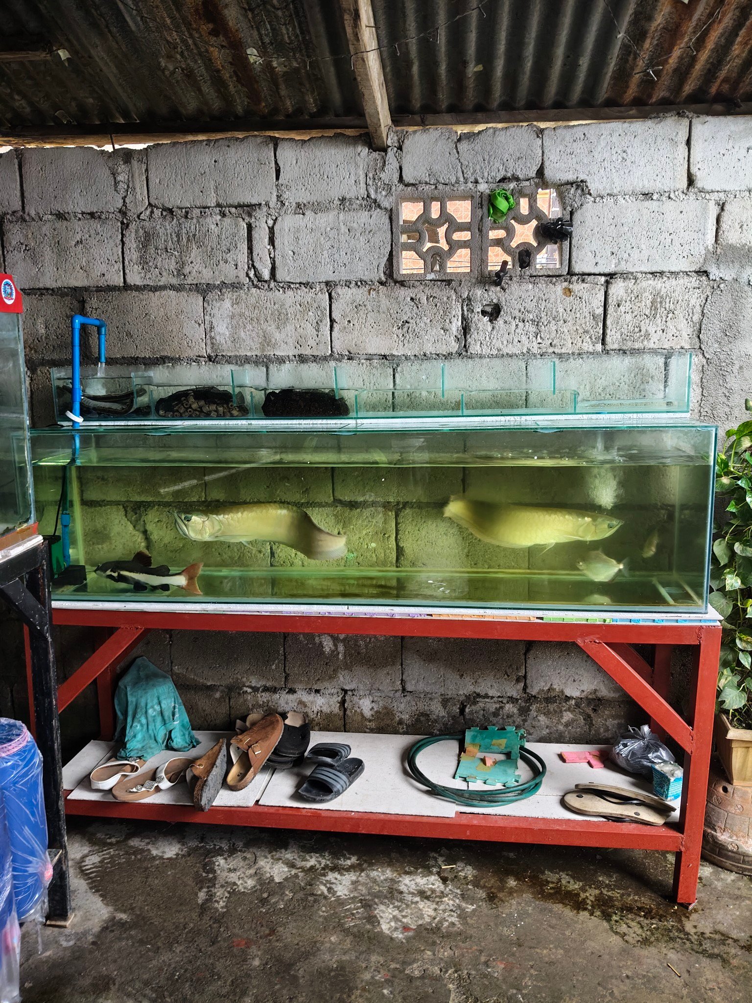 mabalacat fishing hobbys | Facebook