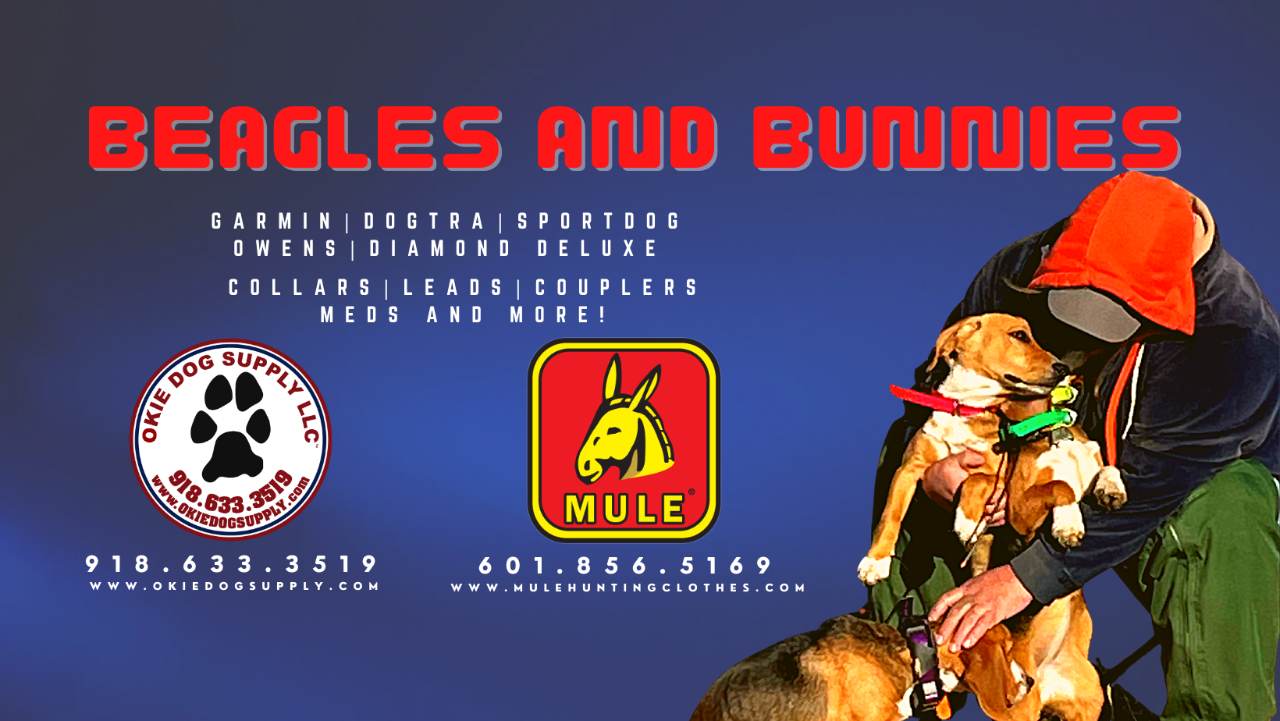BEAGLES AND BUNNIES | hot on dogs | Facebook