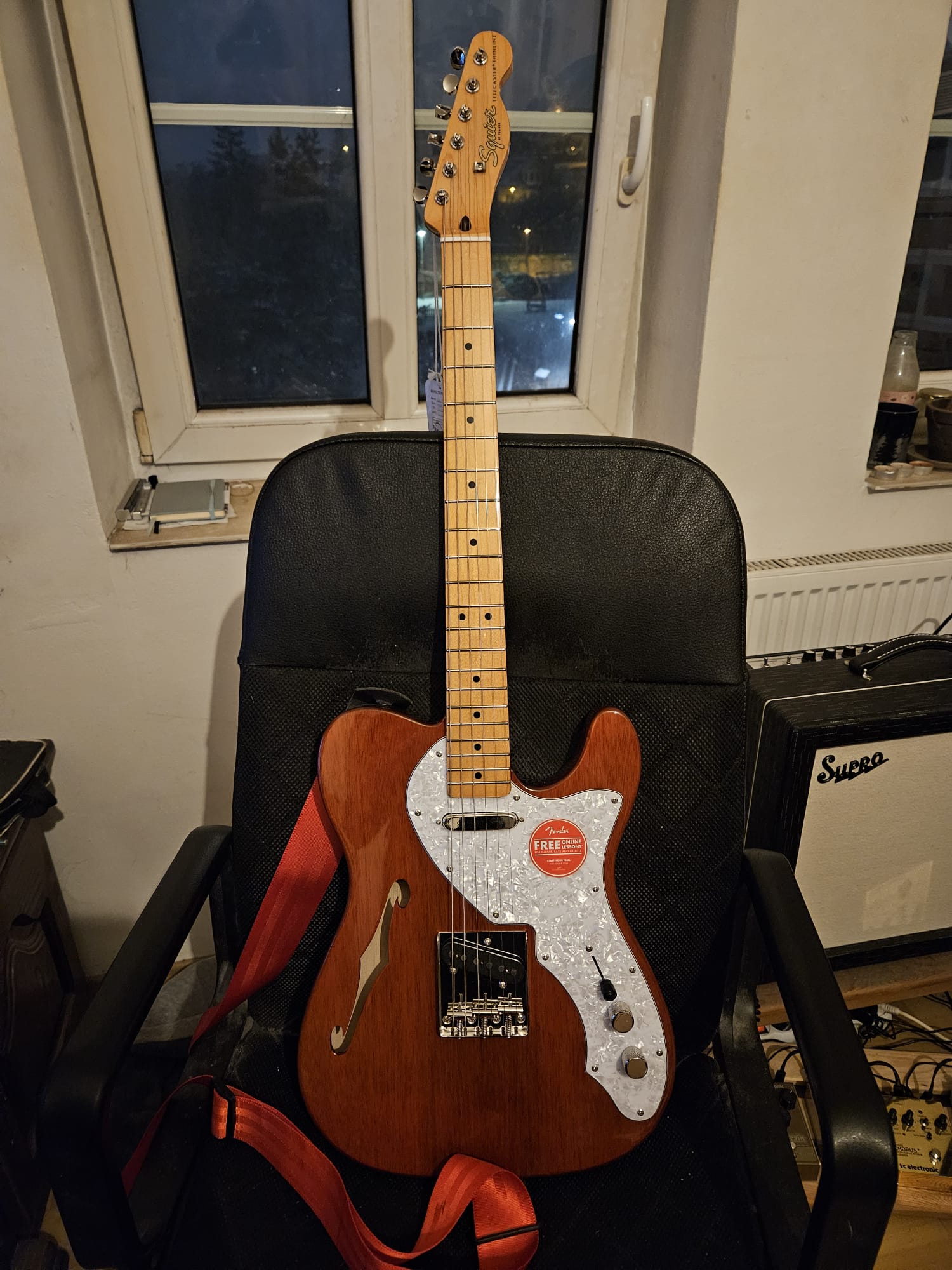 Experience with sx thinline tele guitar?
