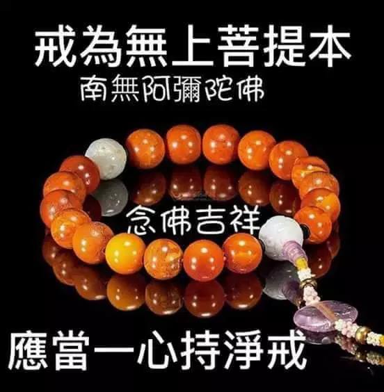 歈軒 - 受持五戒 修養道德都能得到升華 界詮法師 皈依若干年以後，因緣成熟了，要受持五戒。皈依三寶，只是種善根而已，算為佛教徒，然後你要 ...