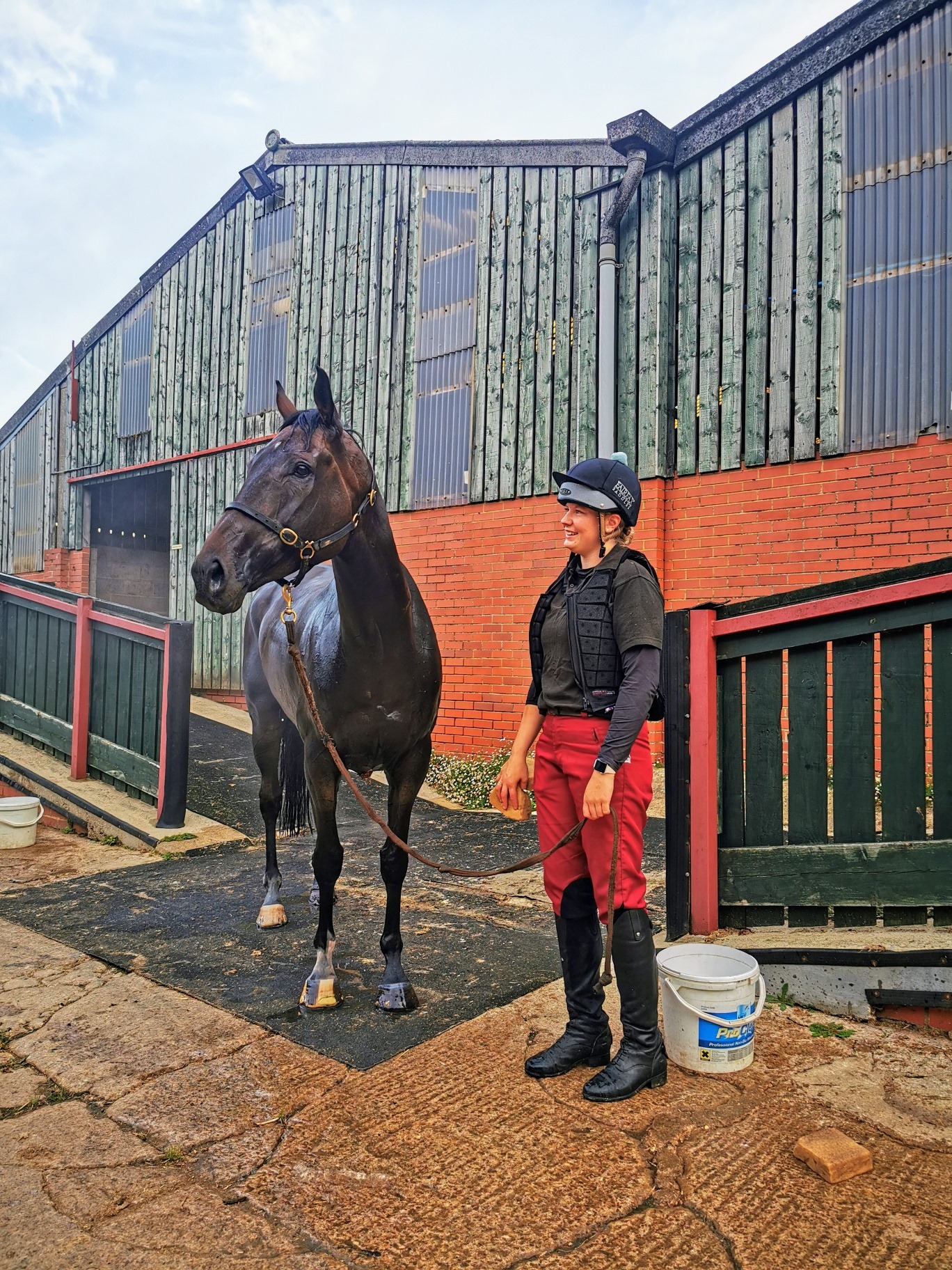 The big fella! He's A Knowall - owned... - Paul Webber Racing