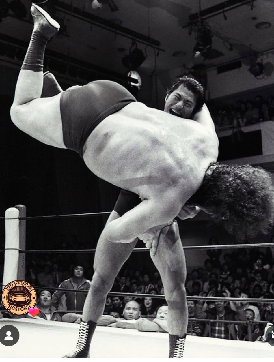 1982年新日本プロレスリングの掉尾を飾るMSGタッグリーグ戦。アンドレ