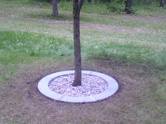 Poly Border Landscaping Border System