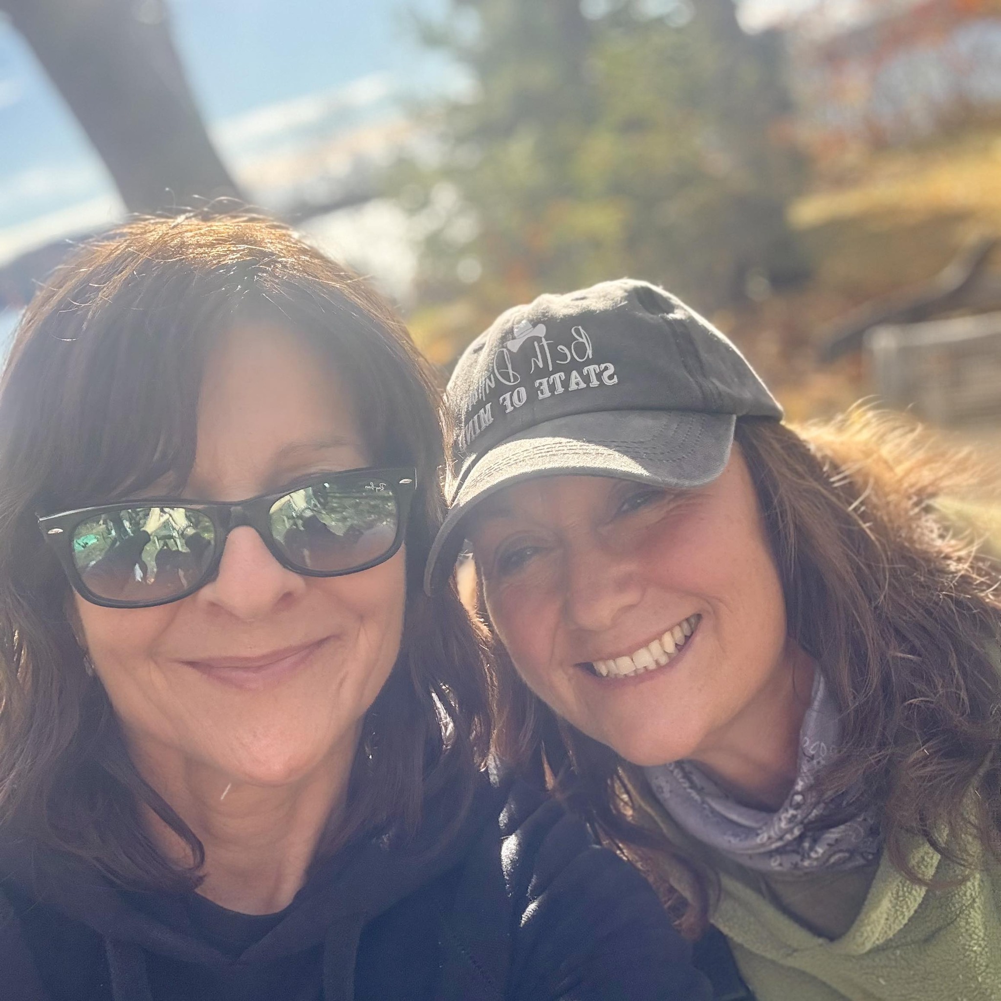 Debbie Dufour - Gorgeous day to walk the Gordie Howe... | Facebook