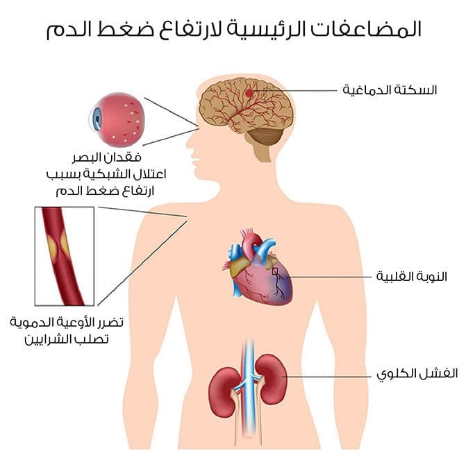 Calameo سياحة في مدينة الذاكرة