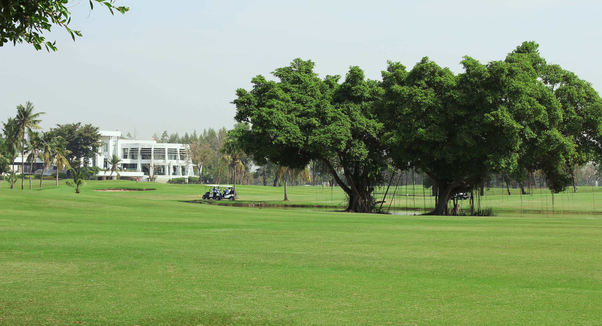 BANYAN TREES... - Northern Rangsit Golf Club | Facebook