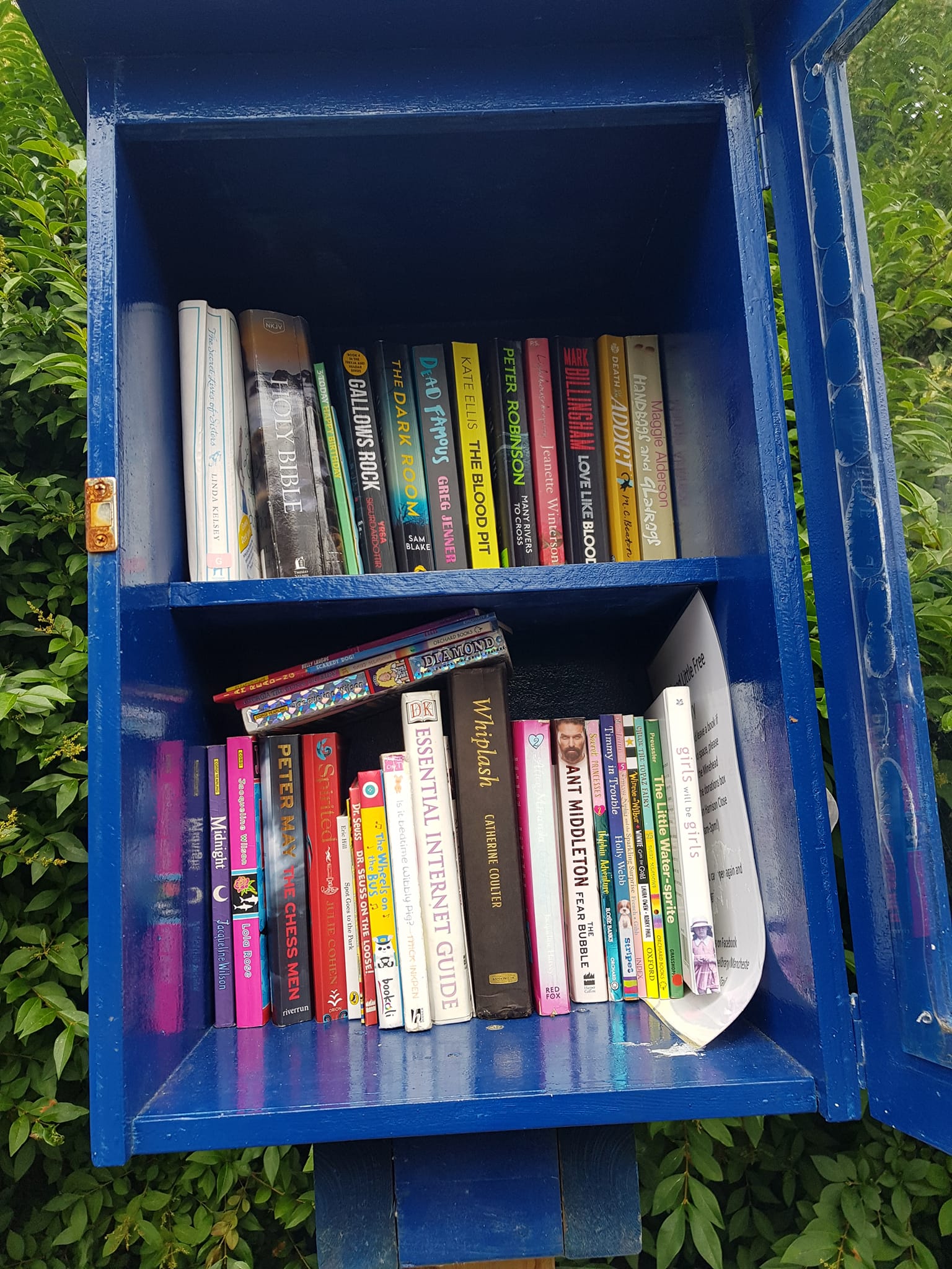 Minehead Little Free Library | Manchester