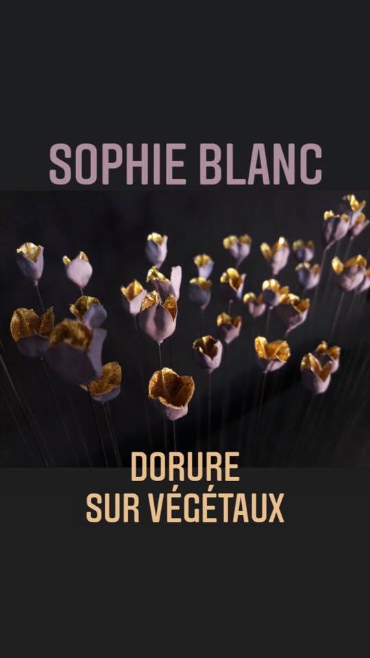 Cub'ART - Sophie Blanc, doreuse ornemaniste, alterne entre... | Facebook