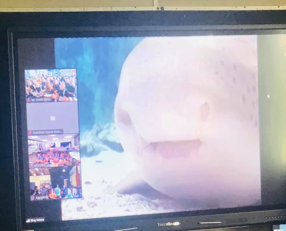 As a Reef Guardian school, Kin... - Kin Kora State School | Facebook