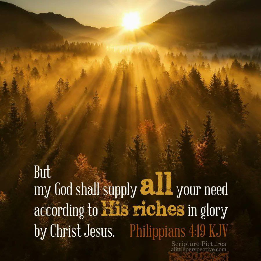 KJV HOLY BIBLE BELIEVERS 📖 | But my God shall supply all your need ...