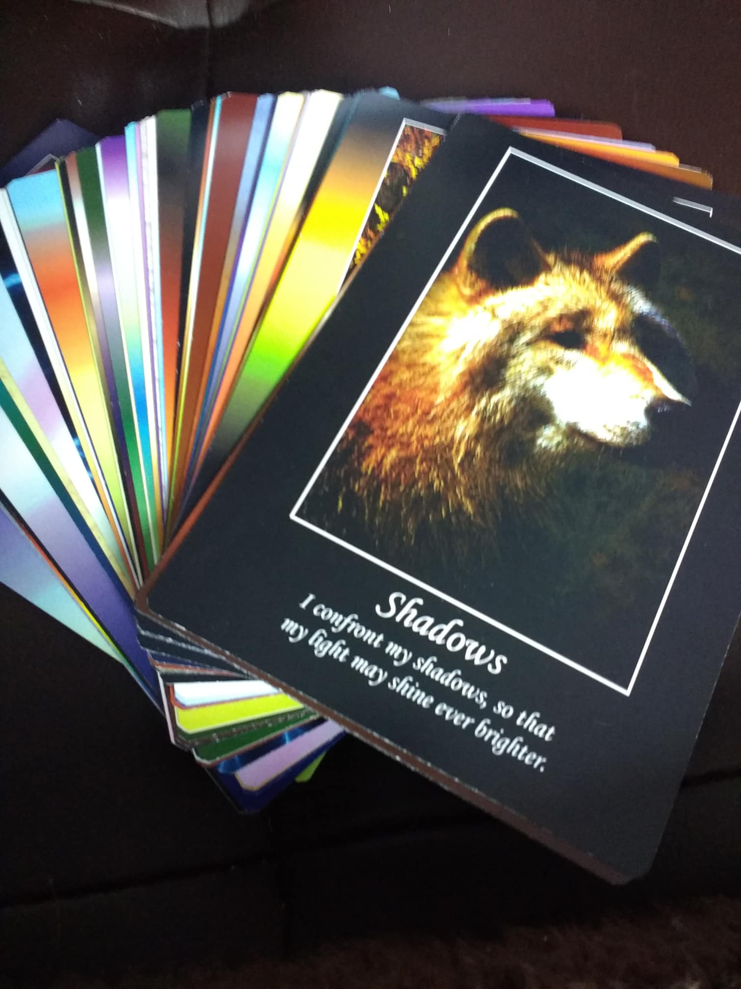 Wolf Life Path Cards