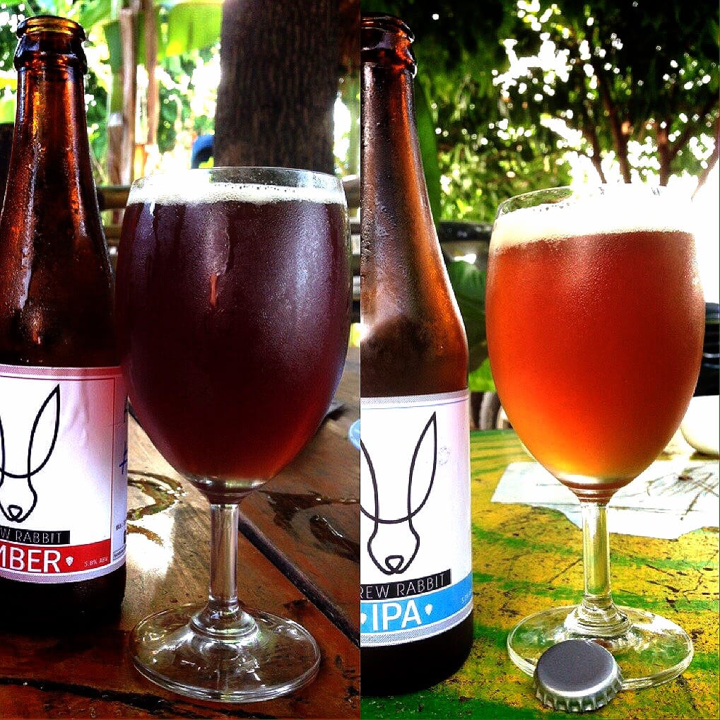Brew Rabbit - ฮาโหลๆเราหายไปสักพักเราสุ่มของไว้ให้ออกมาพร้อ... | Facebook