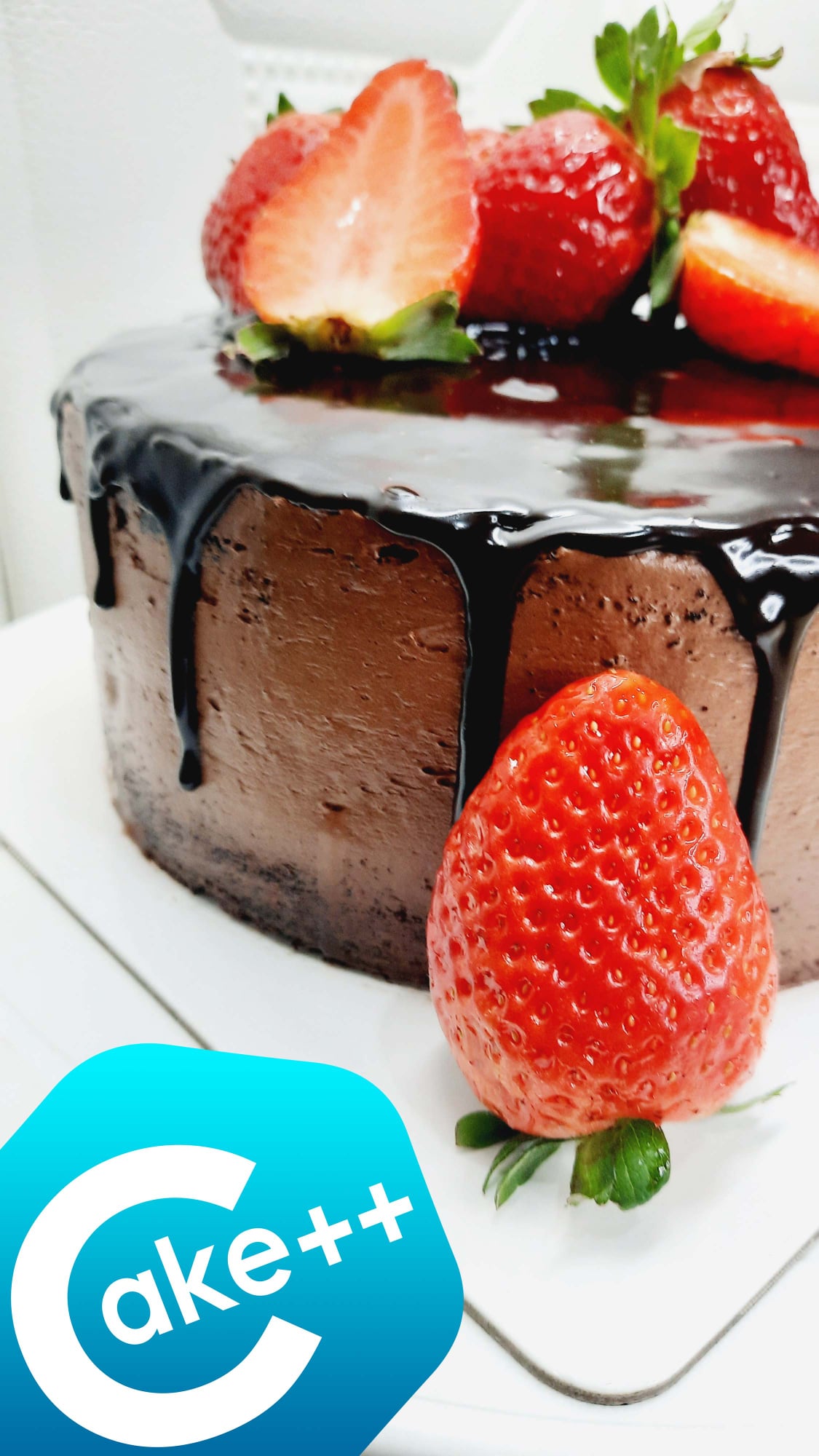 Cake Plus Plus