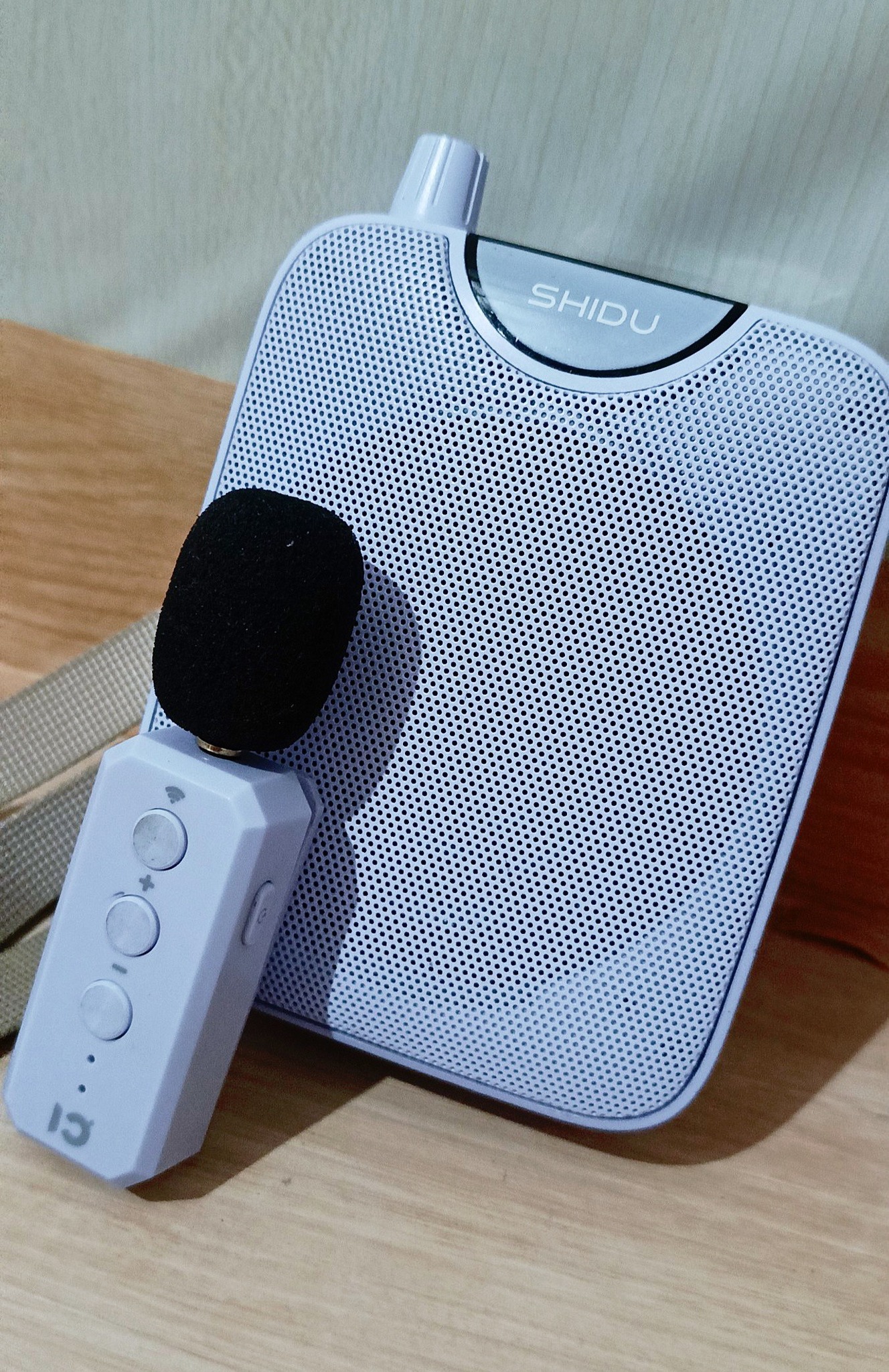 Kepooman Voice Amplifier Portable Microphone With Waist Neck Band Amp | Desertcart