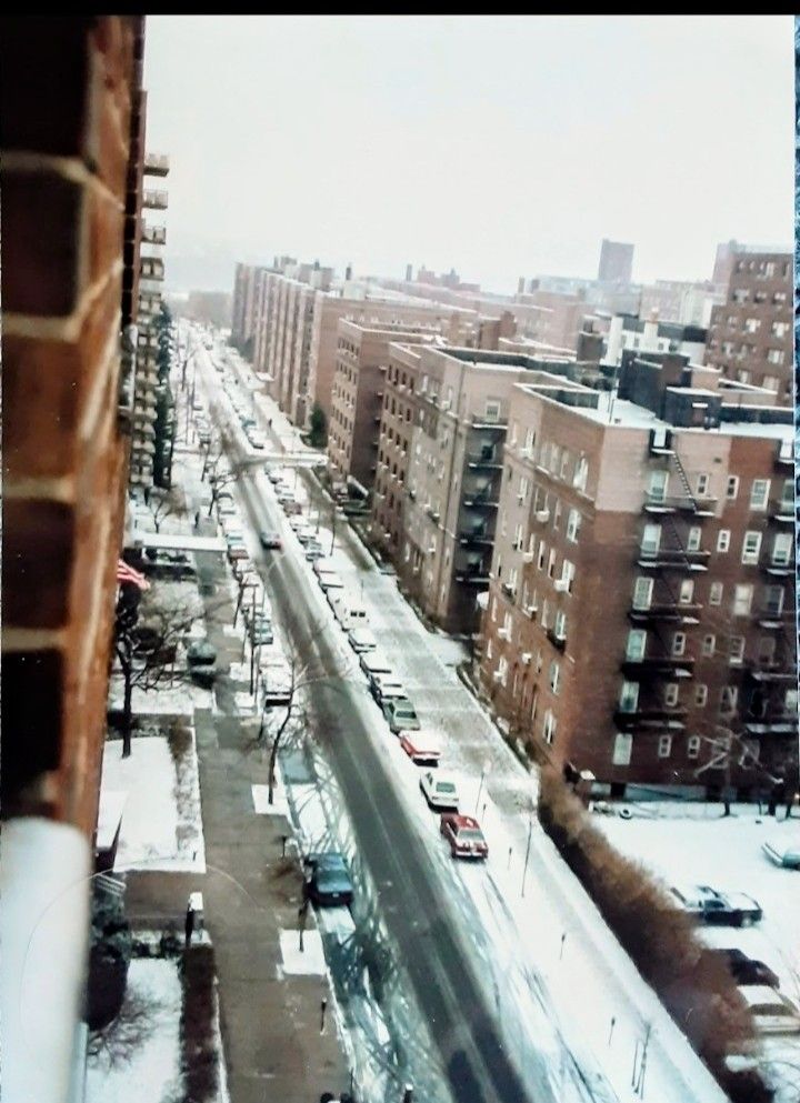 View of Forest Hills in 1980