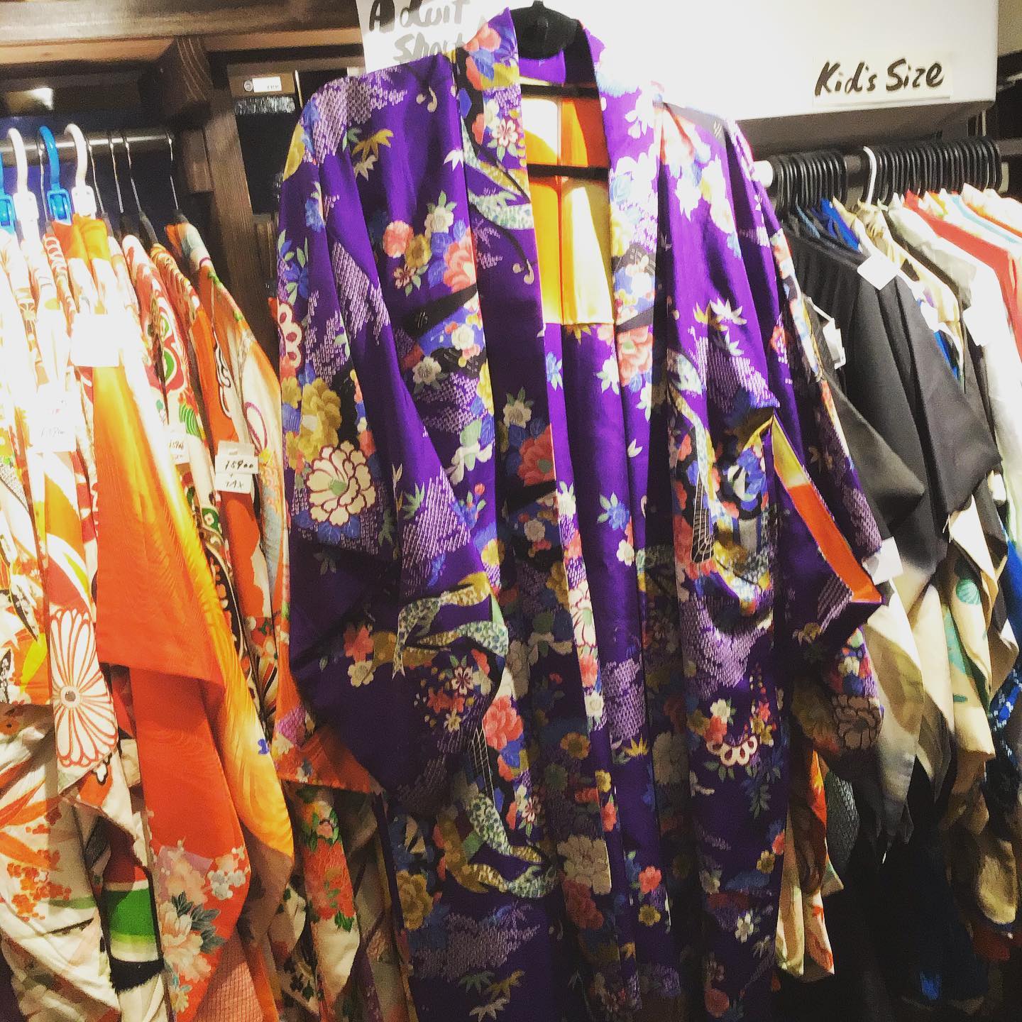 Vintage Kimono AN Gion | Kyoto-shi Kyoto
