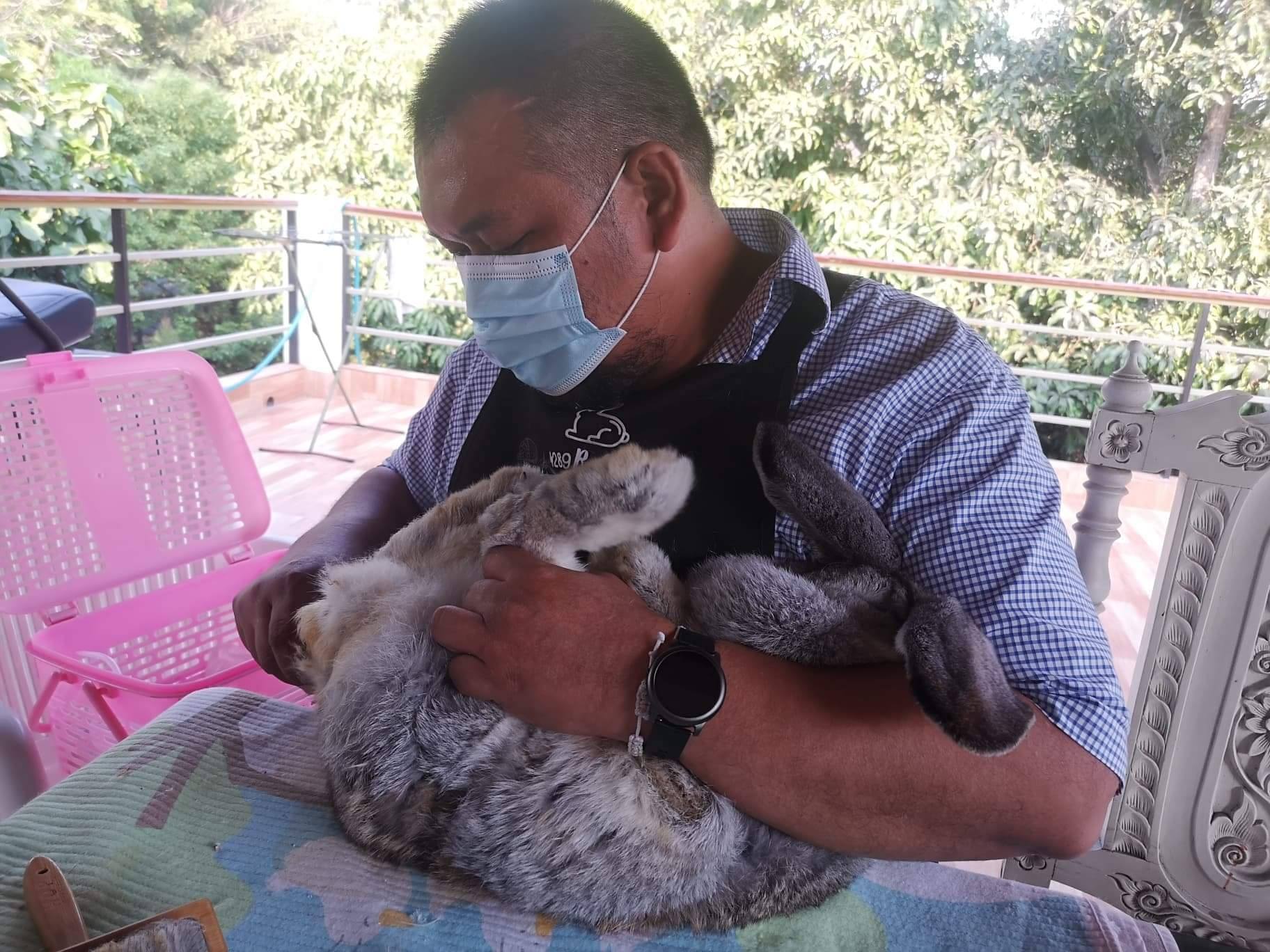 บริการตัดเล็บ... - 4289 Rabbitty by ช่างต้นและจิ๊ดริ๊ด